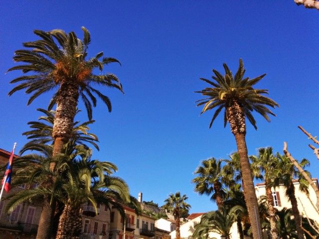 nafplion combin