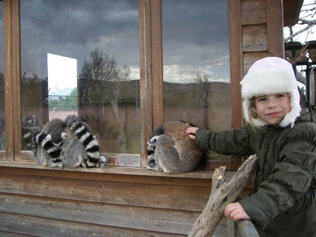 animals in athens with kids © family experiences blog