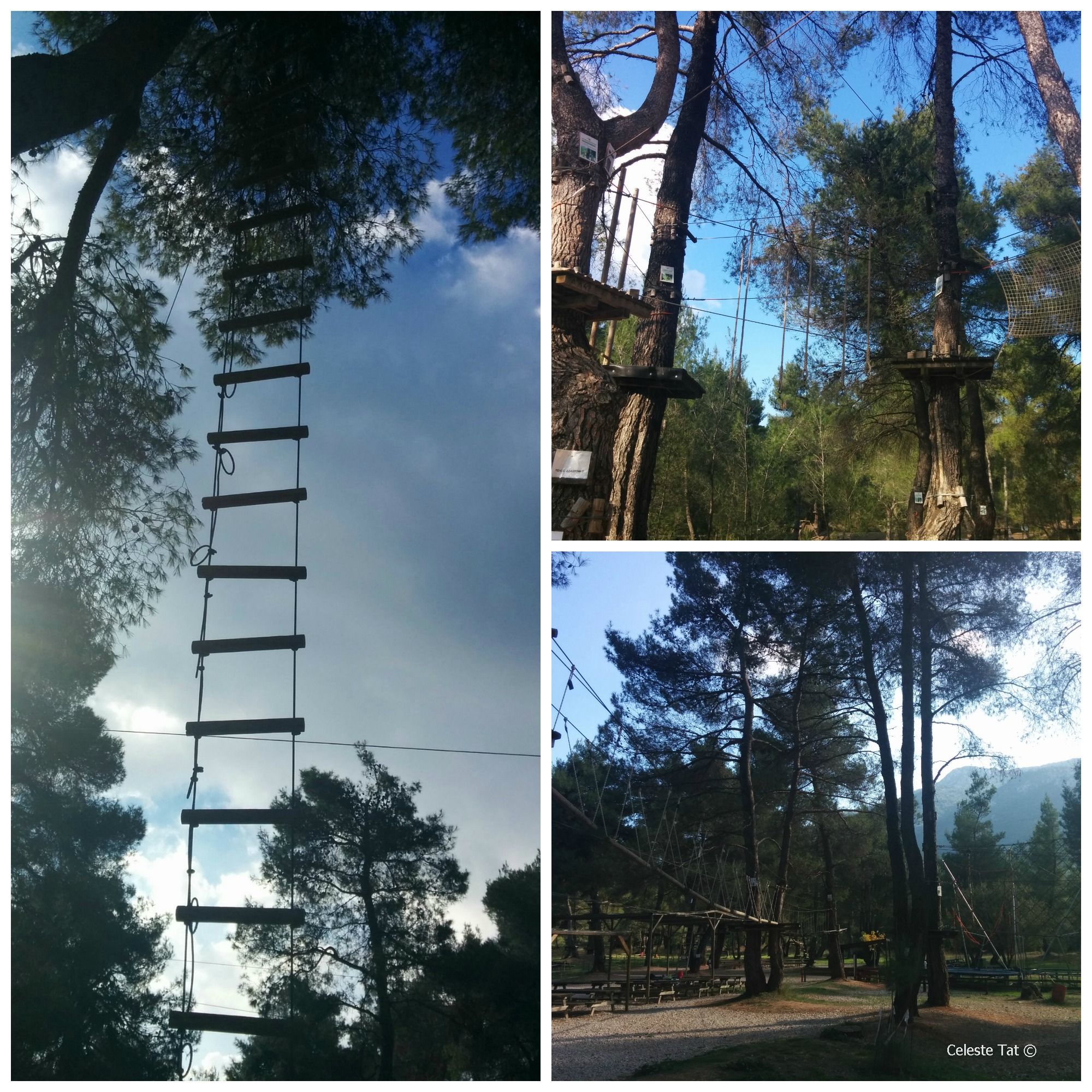 Adventure park collage 1