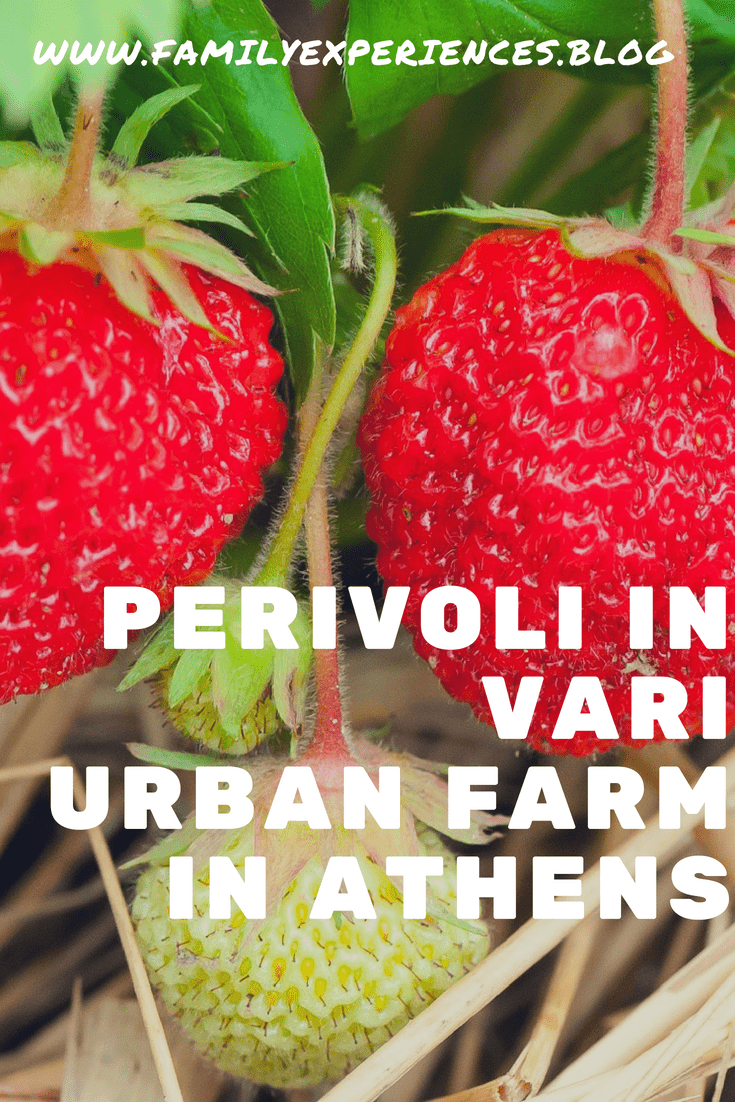 urban farm in athens