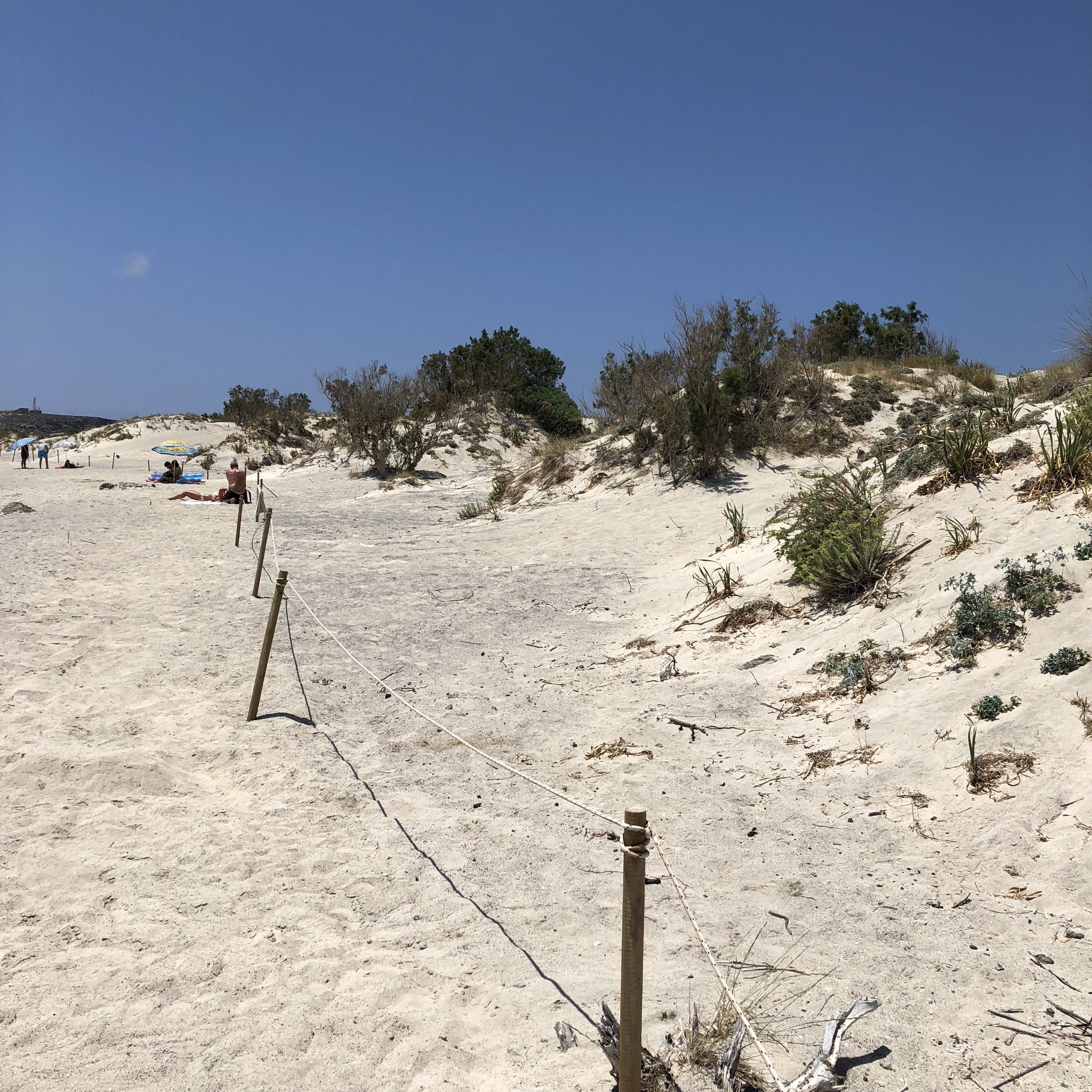 Elafonissi Beach with Kids