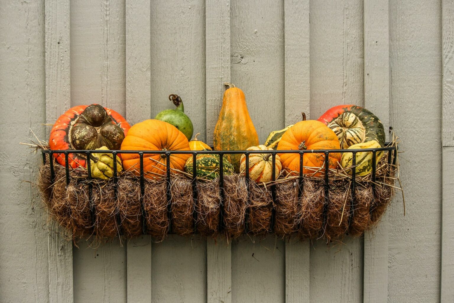 gourds 204929 1920