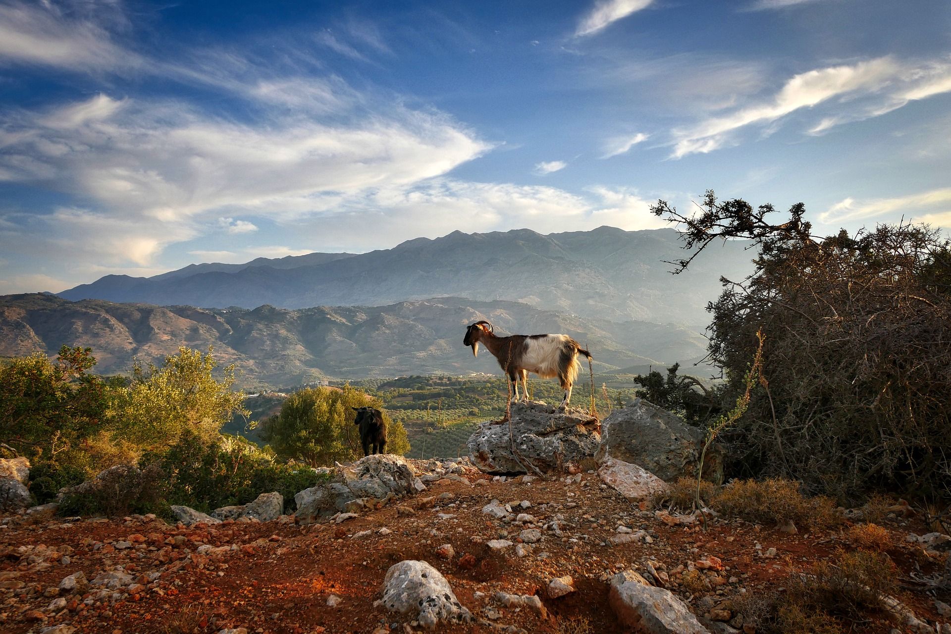 Green Cultural Routes 2026: Free Family-Friendly Activities Across the Country 6 crete 2919290 1920