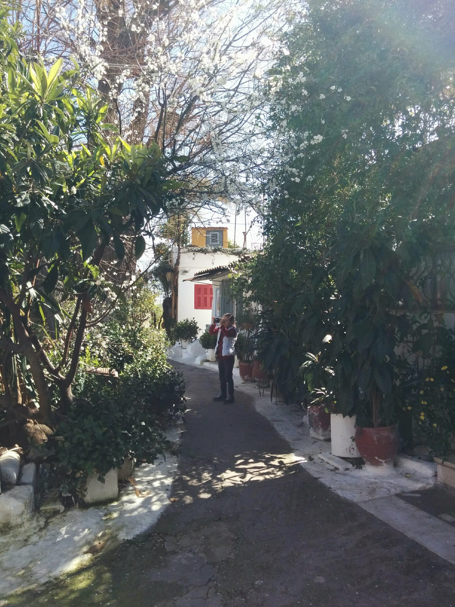 30 + Amazing Things to do in Athens with Teens 13 IMG 20180303 130217 scaled
