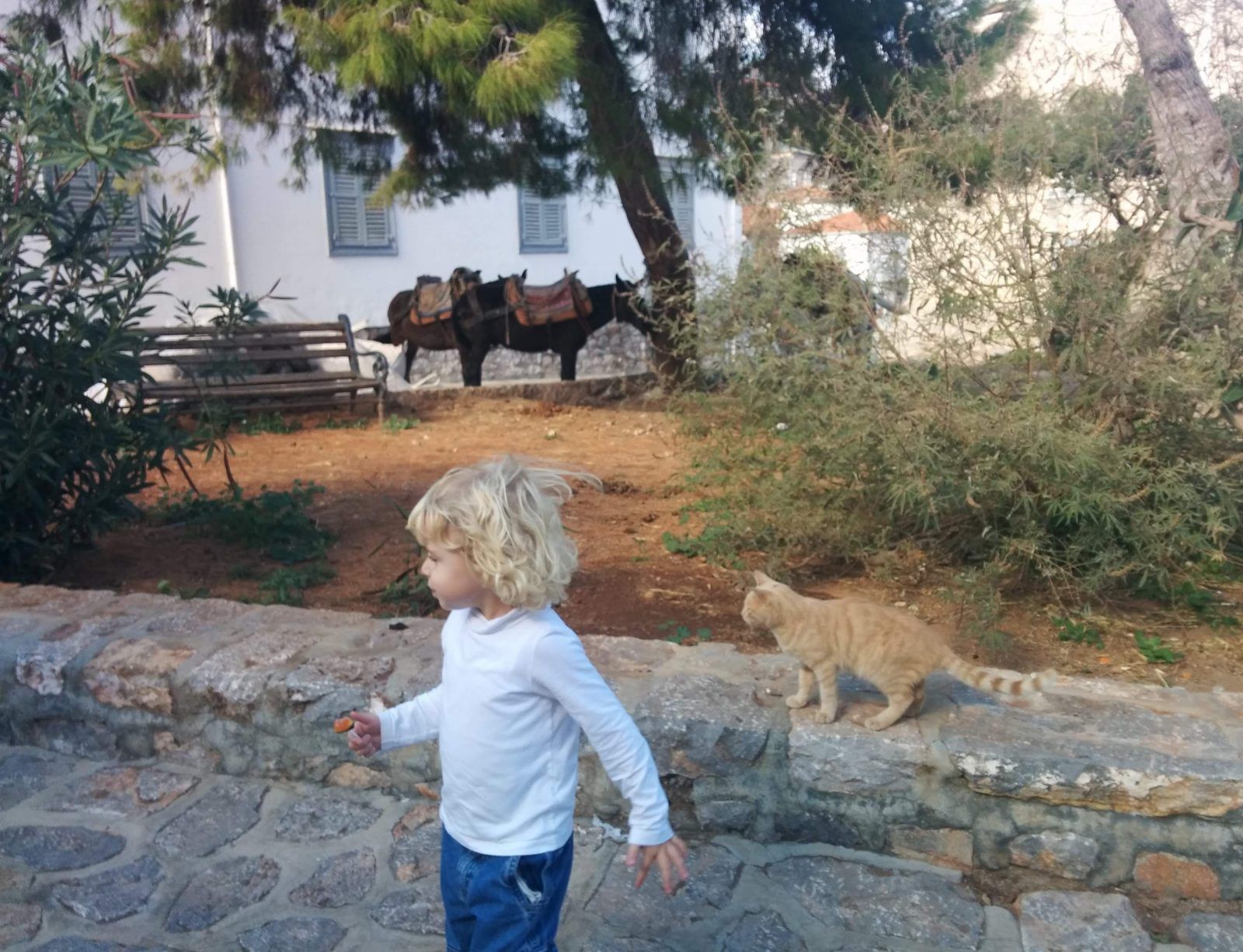 Hydra with Kids