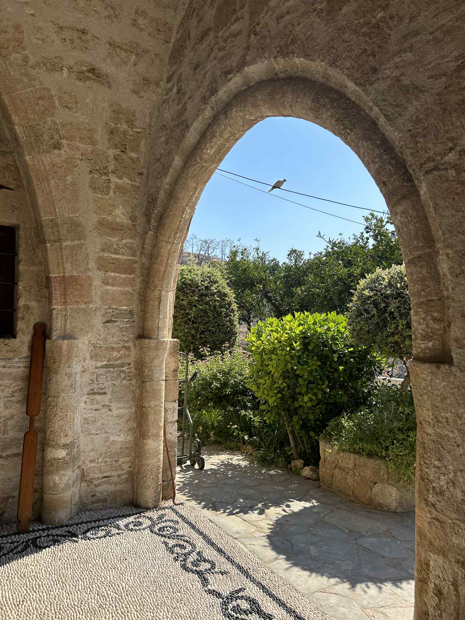 Discover the Magic of Rhodes Island with Kids and teens: Amazing Family Bonding Adventures Await 62 62121890 1d95 4d1a b683 46ac9826f760