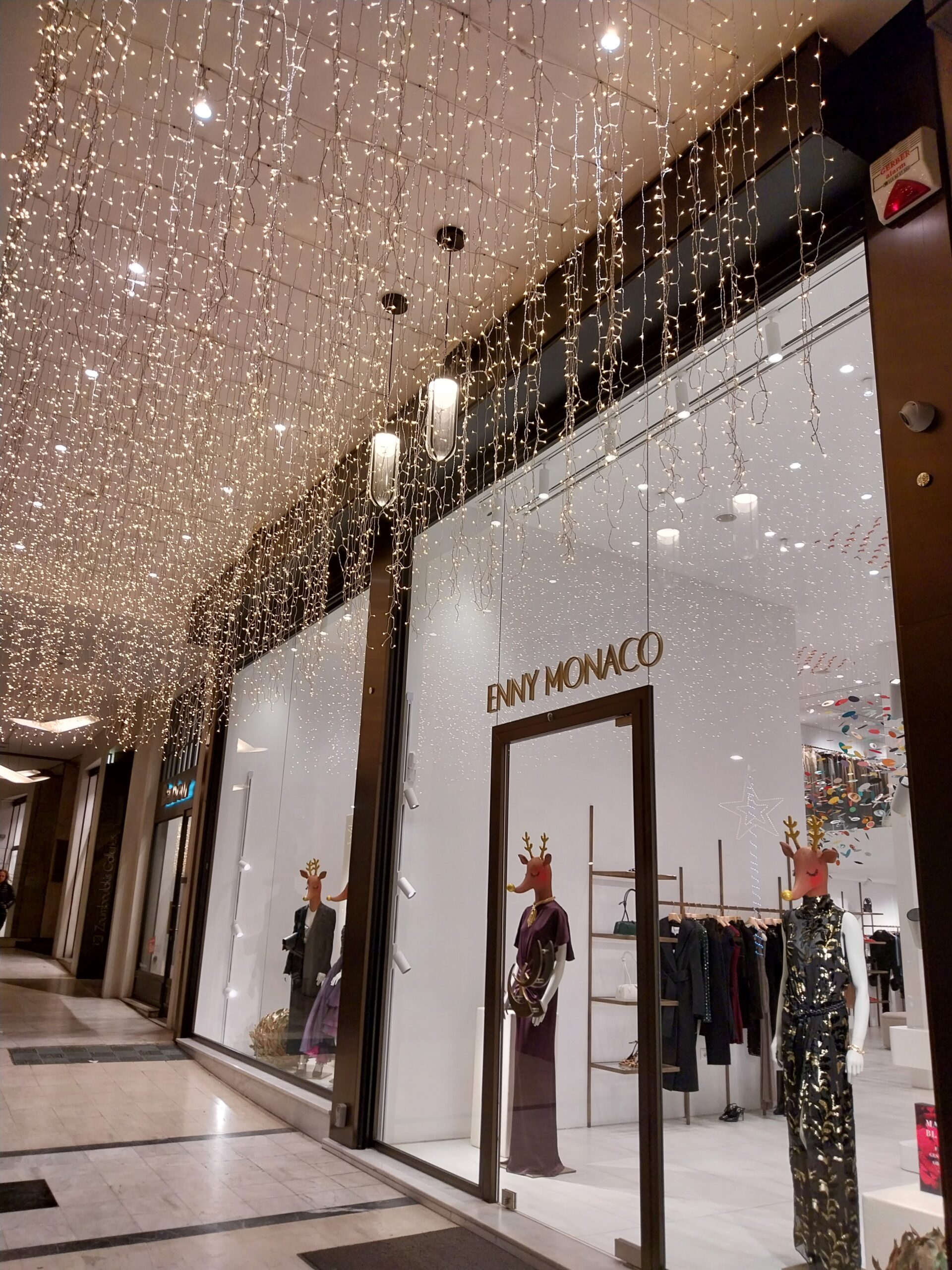 20241227 185232 scaled