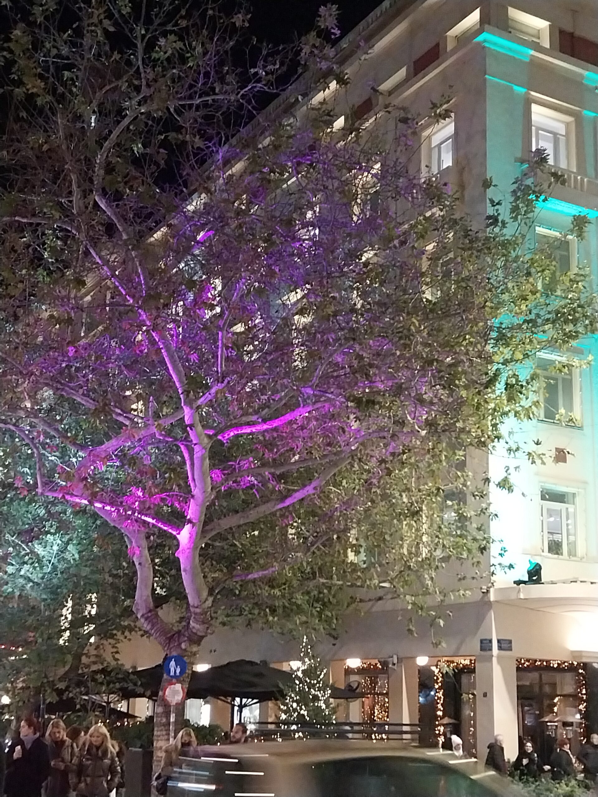 20241227 190016 scaled