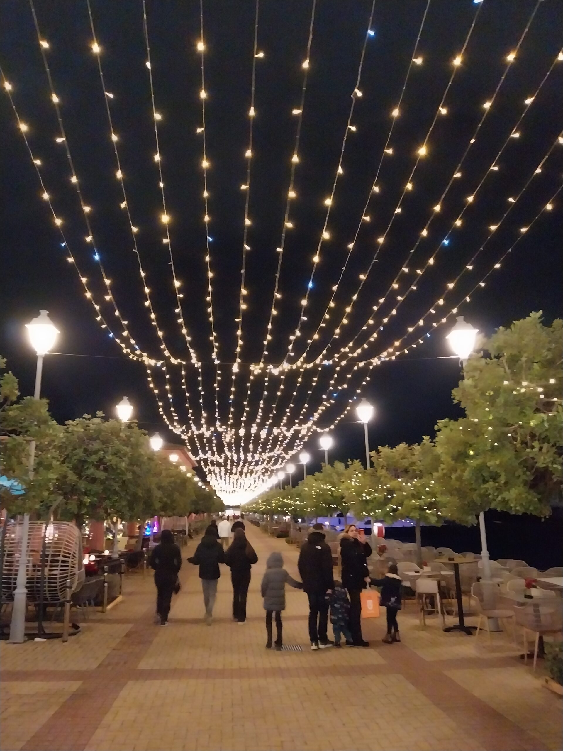 20241228 201656 scaled