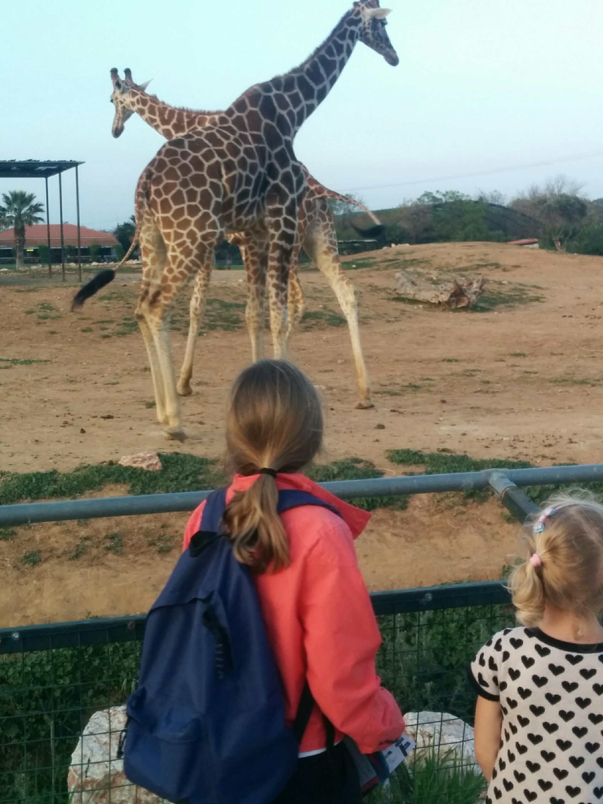 IMG 20180414 192302 scaled