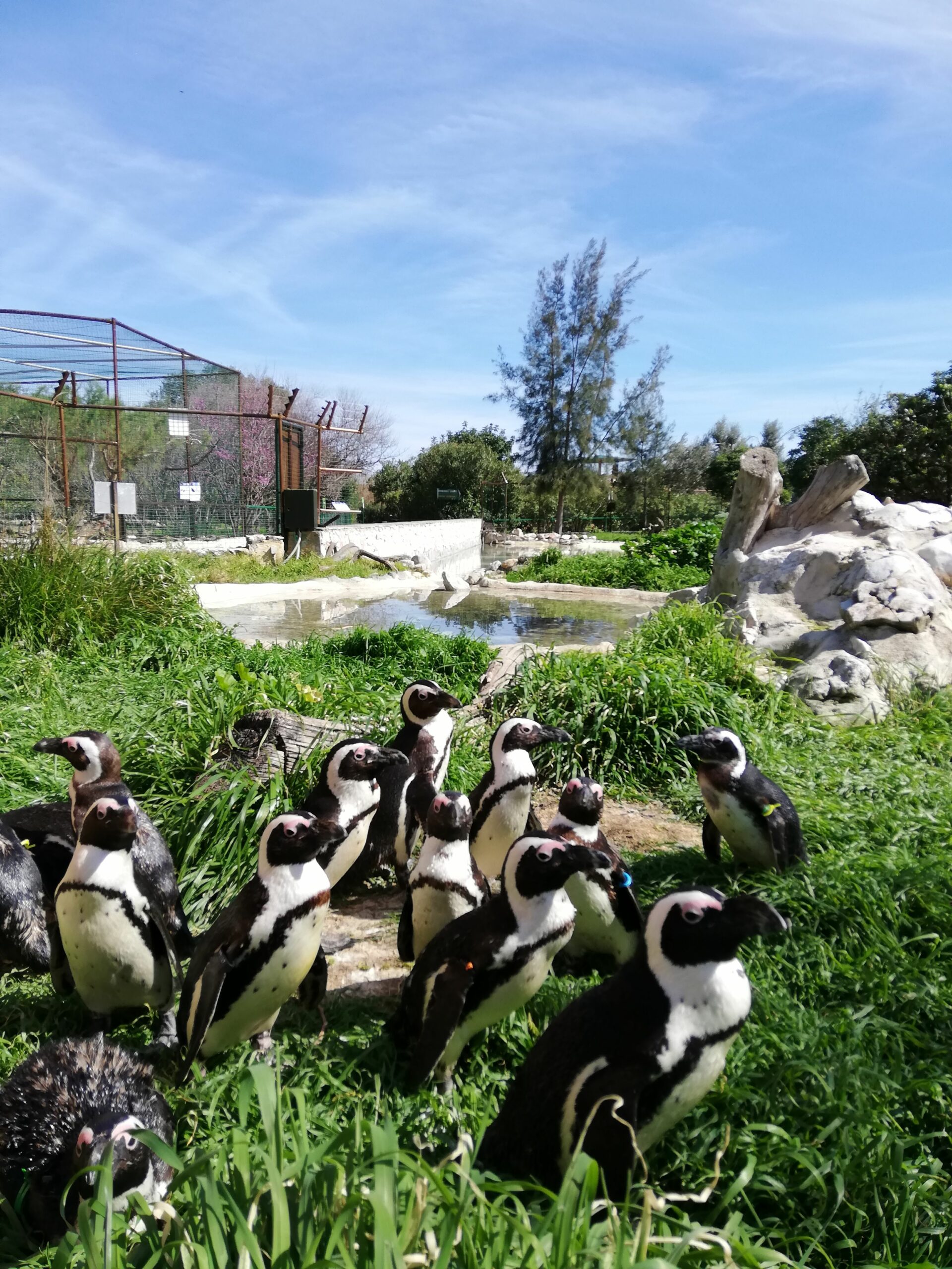 IMG 20200314 140408 scaled