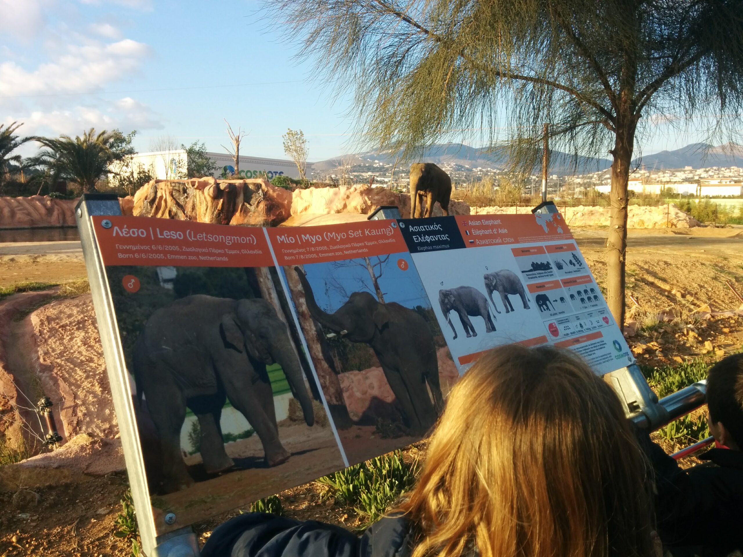 Top things to do in Athens, Greece with children 59 IMG 20161227 160600 scaled