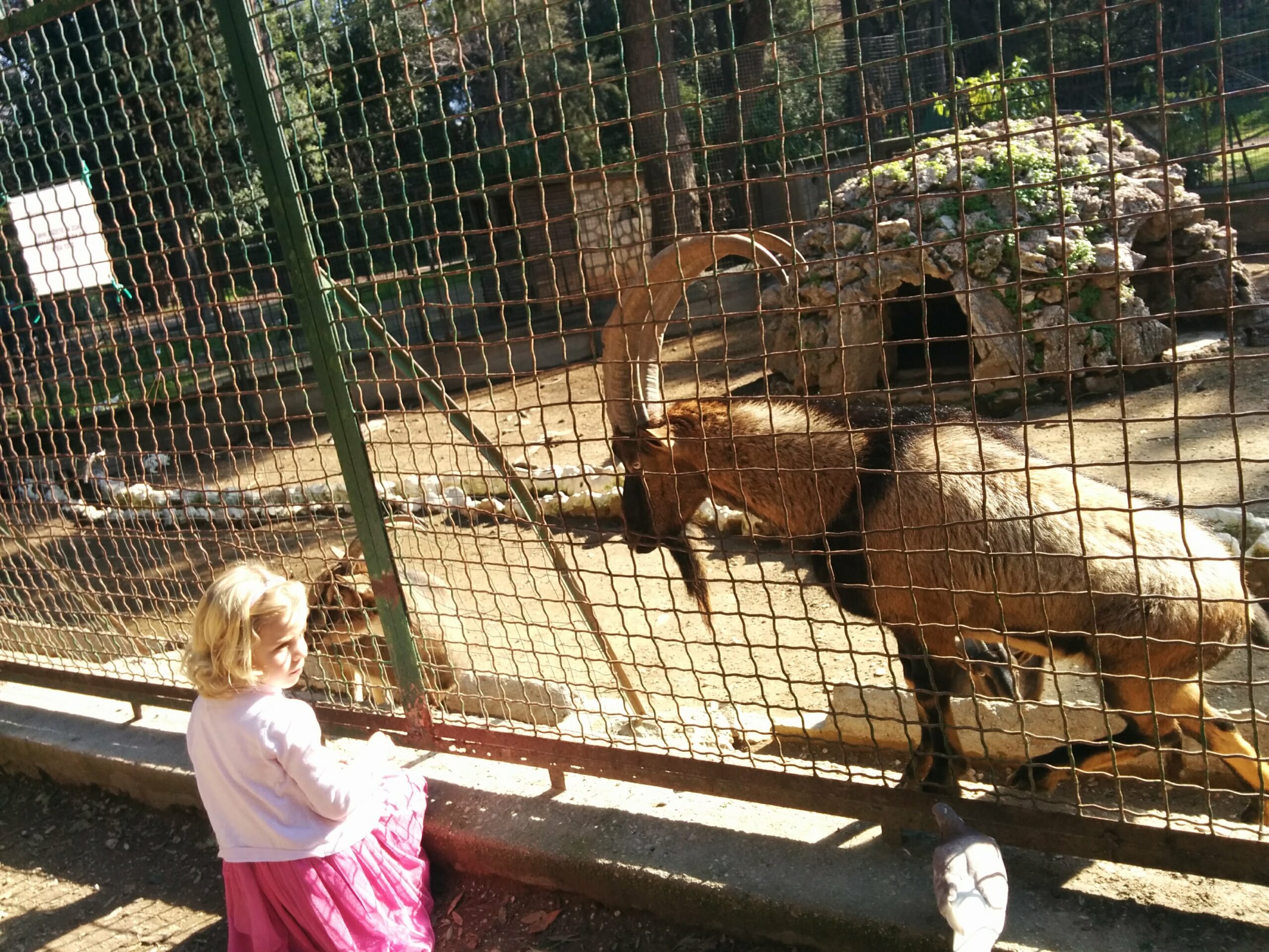 Top things to do in Athens, Greece with children 56 IMG 20180116 125917 scaled