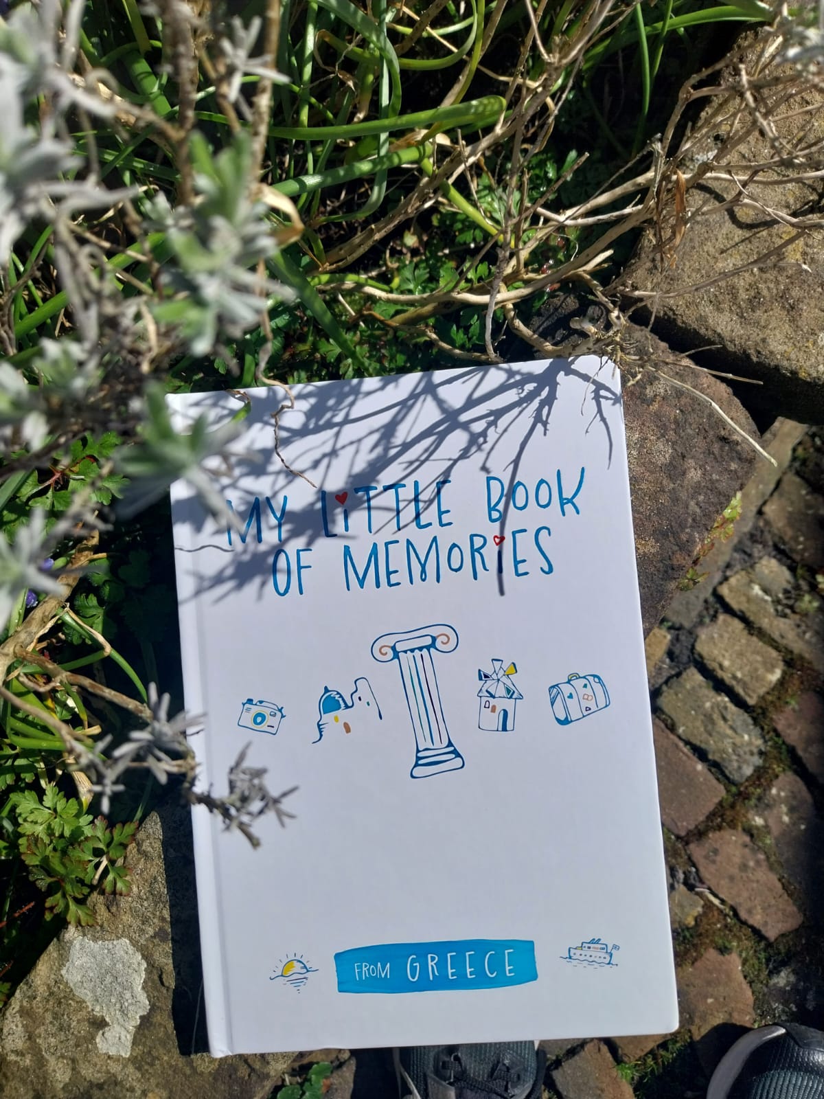 WhatsApp Image 2026 03 31 at 13.08.28 2