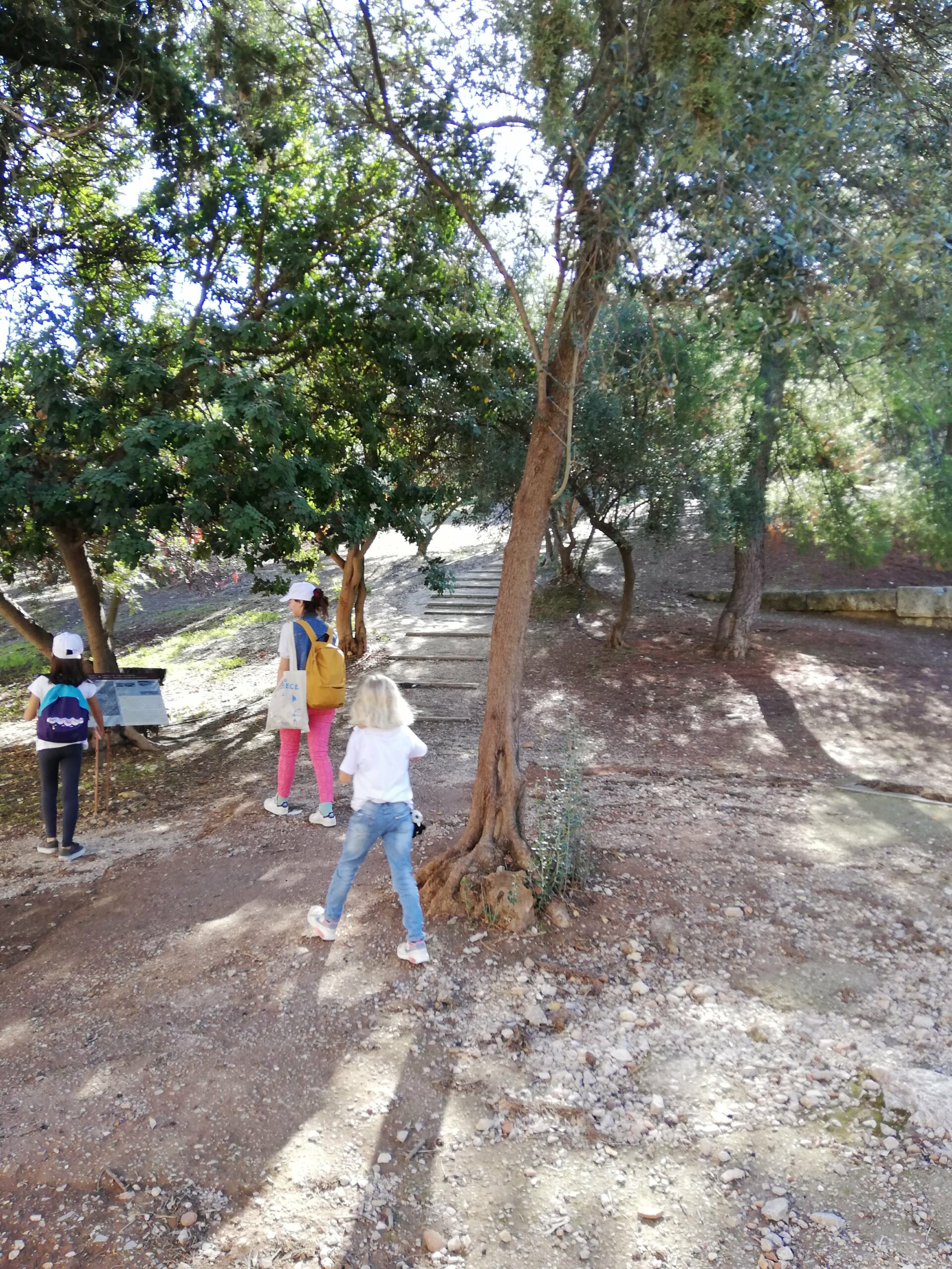 tour on pnyx hill in Athens and Zeus picture for games