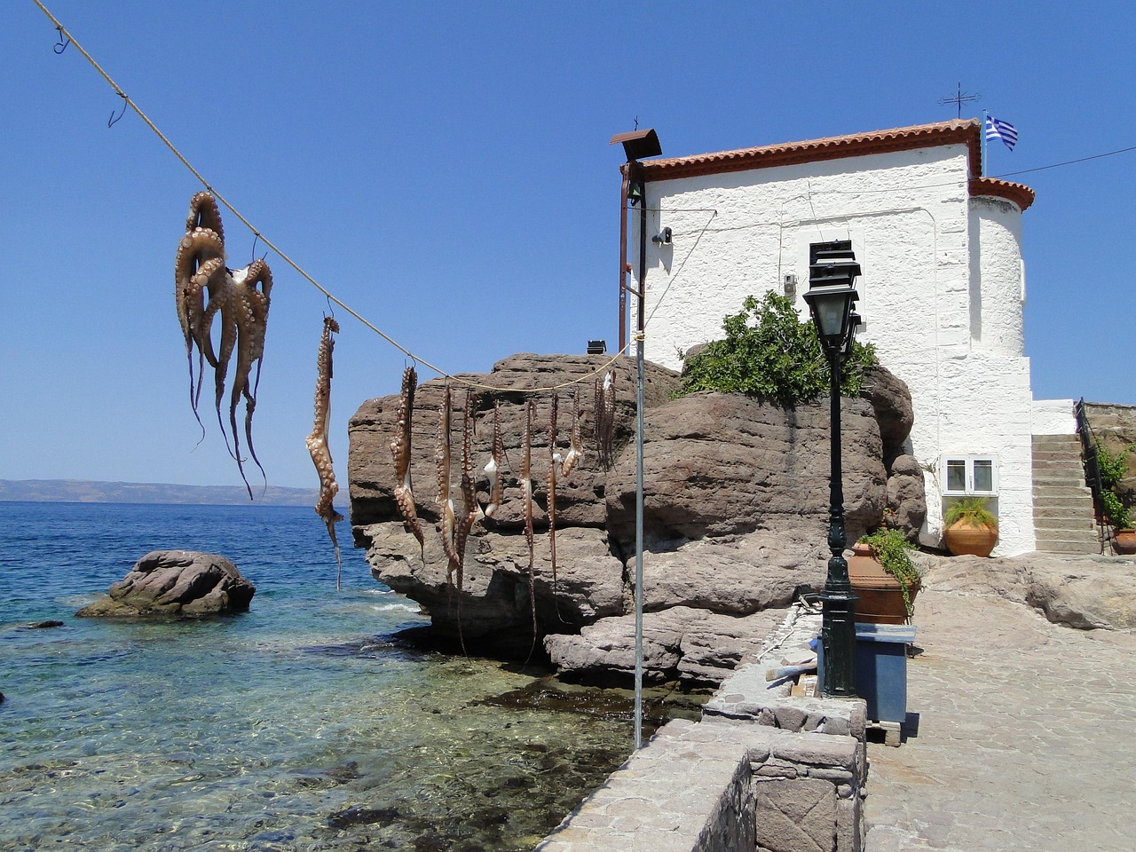 Lesvos with children , octopus hanging by the sea 
