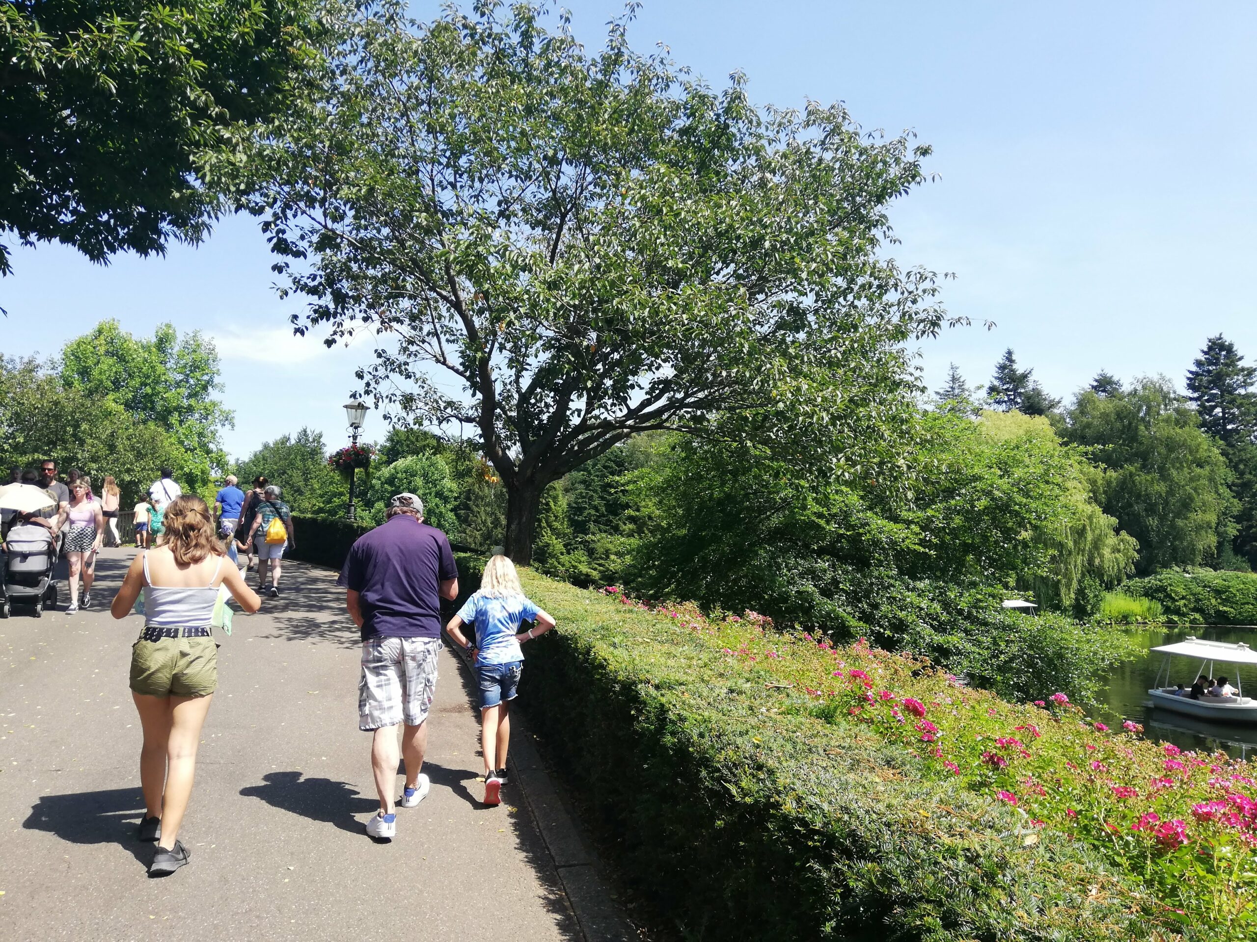 Here's why Efteling in the Netherlands is the best theme park in Europe! 8 IMG 20220718 140708 scaled
